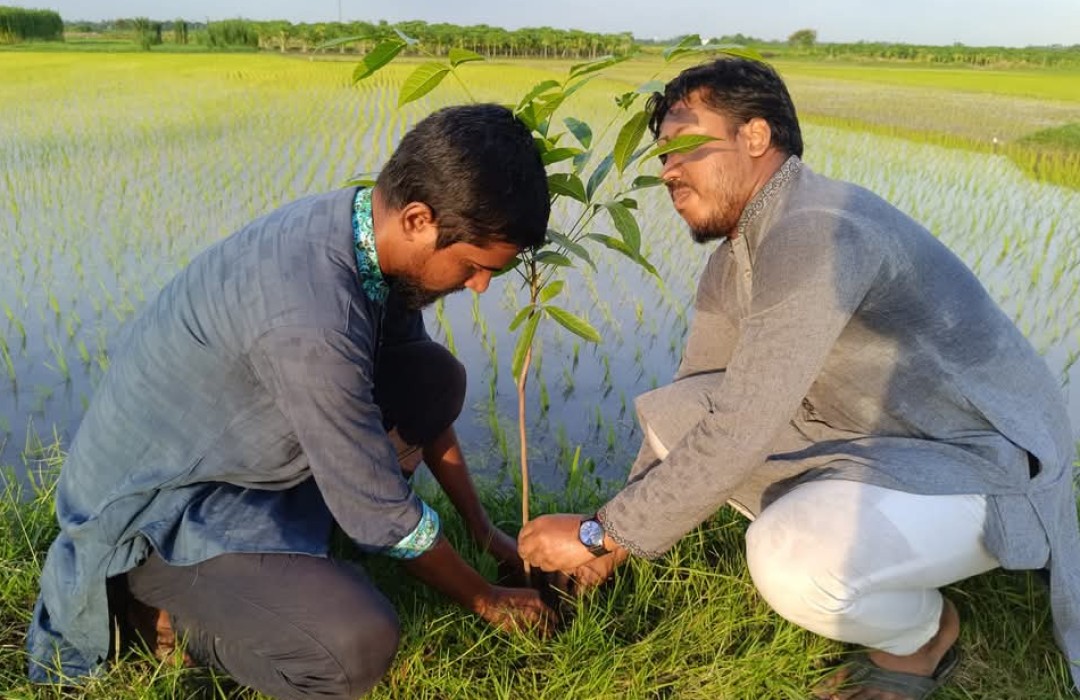 বৃক্ষরোপণ কর্মসূচী